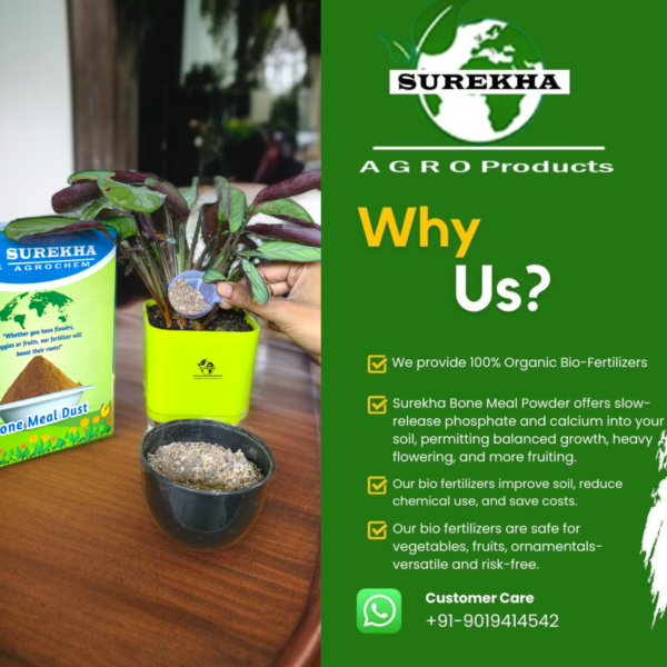 Surekha Organic Bone Meal Fertilizer - Slow-Release Phosphorus & Calcium | Calcium For Plants | Bone Meal Powder| Bio Fertilizer For Plants