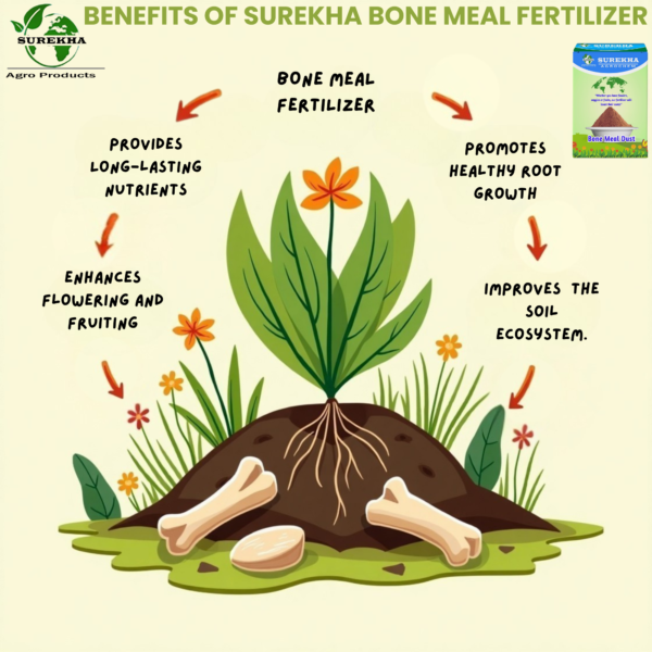 Surekha Organic Bone Meal Fertilizer - Slow-Release Phosphorus & Calcium | Calcium For Plants | Bone Meal Powder| Bio Fertilizer For Plants