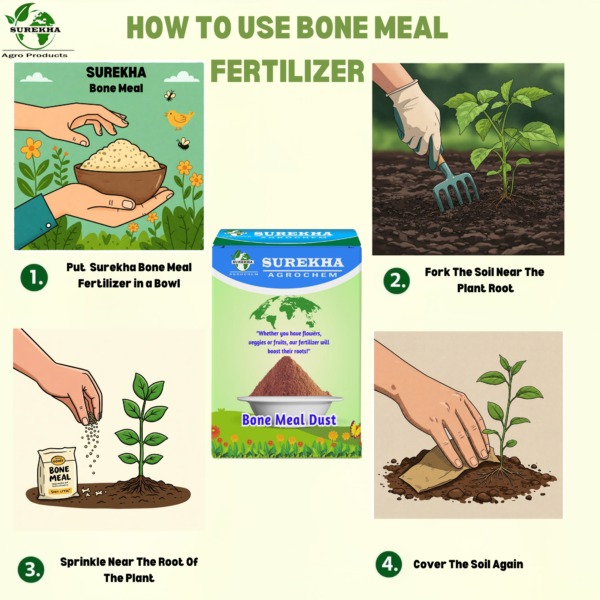 Surekha Organic Bone Meal Fertilizer - Slow-Release Phosphorus & Calcium | Calcium For Plants | Bone Meal Powder| Bio Fertilizer For Plants