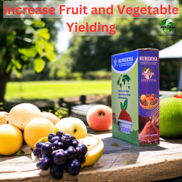 Premium Water-Soluble Potash Fertilizer (Potassium) | Red Potash Fertilizers For Plants | Agriculture Potash Fertilizer | Muriate of Potash | Potash Chemical Fertilizer