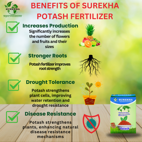Premium Water-Soluble Potash Fertilizer (Potassium) | Red Potash Fertilizers For Plants | Agriculture Potash Fertilizer | Muriate of Potash | Potash Chemical Fertilizer