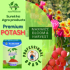 Premium Water-Soluble Potash Fertilizer (Potassium) | Red Potash Fertilizers For Plants | Agriculture Potash Fertilizer | Muriate of Potash | Potash Chemical Fertilizer