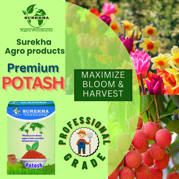 Premium Water-Soluble Potash Fertilizer (Potassium) | Red Potash Fertilizers For Plants | Agriculture Potash Fertilizer | Muriate of Potash | Potash Chemical Fertilizer
