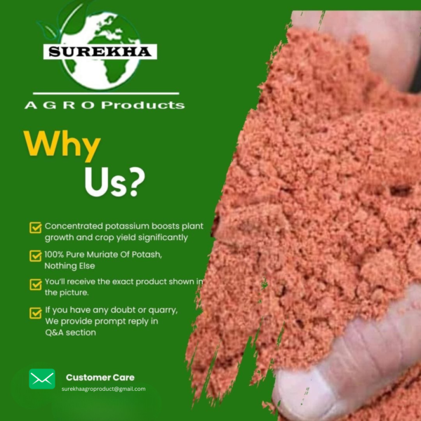 Premium Water-Soluble Potash Fertilizer (Potassium) | Red Potash Fertilizers For Plants | Agriculture Potash Fertilizer | Muriate of Potash | Potash Chemical Fertilizer