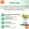 Surekha Agro Products Snake Plant (Sansevieria Trifasciata) - 8-10" with 5" Self Watering Pot | Air Purifying & Low Maintenance Indoor Plant
