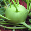 Knol Khol F1 Hybrid Seeds