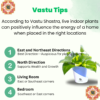 Golden Money Plants With Self Watering Pot For Living Room | Good Luck Plant |  Air Purifier Plants |