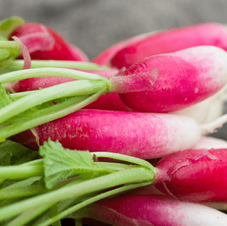 Radish Mooli Long Red Seeds