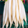 Radish Mooli Long White Seeds