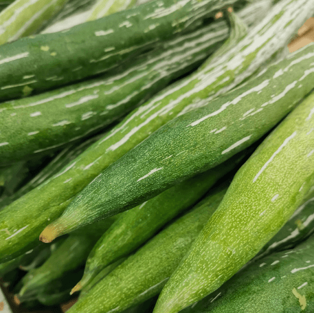 Snake Gourd Seeds