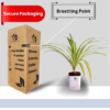 Spider Indoor Plants For Living Room With Self Watering Pot(White)