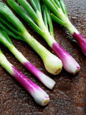 Spring Onion Seeds
