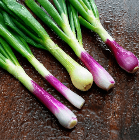 Spring Onion Seeds