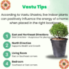 Table Kamini (Dwarf Orange Jasmine) - Fragrant & Easy Indoor/Outdoor Plant | Self-Watering Pot | Surekha Agro Products