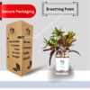 Croton Plant- 'Mammy' Live Indoor Plant (Codiaeum) | 4 Inch Self-Watering Pot | 8-10 Inch | Twisted Colourful Foliage | Surekha Agro Products