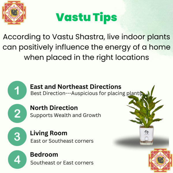 Stunning Croton plant 'Golden Dust' Live Indoor Plant (Codiaeum) | with 4 Inch Self-Watering Pot | 8-10 Inch | Yellow Speckled Foliage | Surekha Agro Products