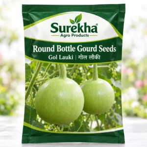 Bottle Gourd Round Seeds