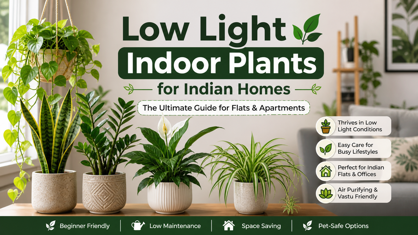 Low light indoor plants for Indian homes featuring snake plant, ZZ plant, peace lily, and spider plant