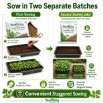 Surekha Agro Coriander Seeds – 1500 Seeds × 2 Packets - Image 5