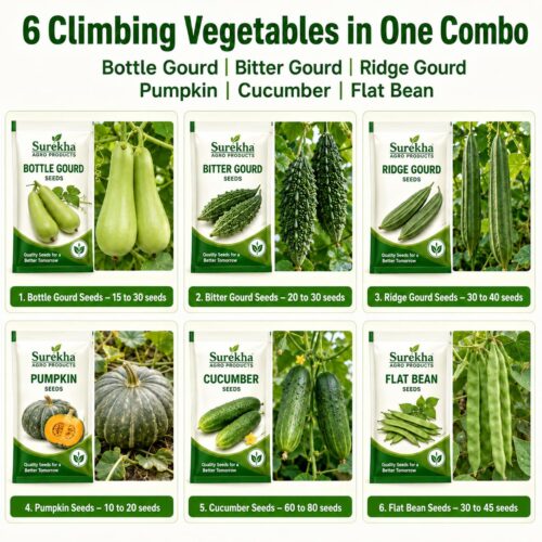 Surekha Agro Gourd and Climber Vegetable Seeds Combo – 6 Varieties - Image 2
