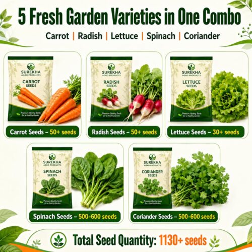 Surekha Agro Winter Salad and Root Vegetable Seeds Combo - Image 2