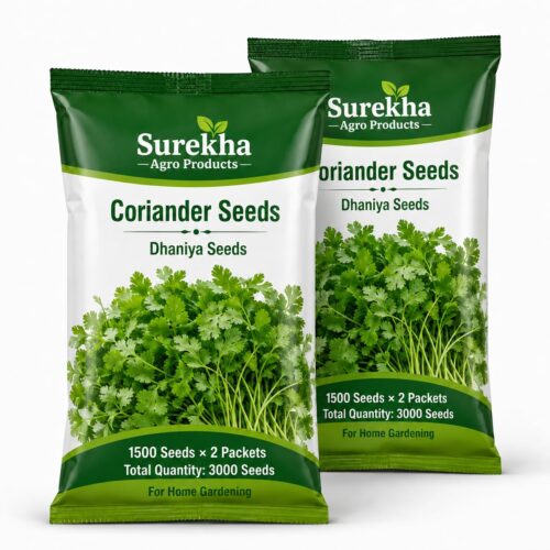 Surekha Agro Coriander Seeds – 1500 Seeds × 2 Packets - Image 1 Surekha Agro Coriander Seeds – 1500 Seeds × 2 Packets - Image 1