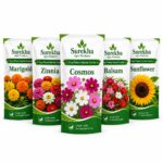 Surekha Agro 5 Easy Flower Garden Seeds Combo - Image 1
