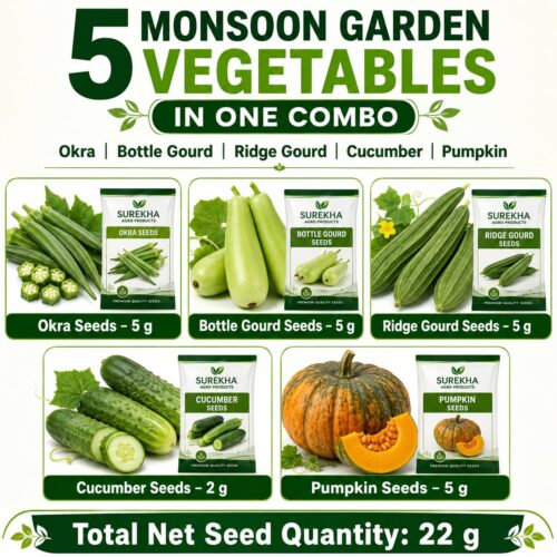 Surekha Agro Monsoon Vegetable Garden Seeds Combo - Image 2