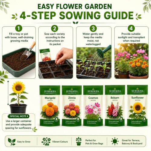 Surekha Agro 5 Easy Flower Garden Seeds Combo - Image 6