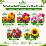 Surekha Agro 5 Easy Flower Garden Seeds Combo - Image 2
