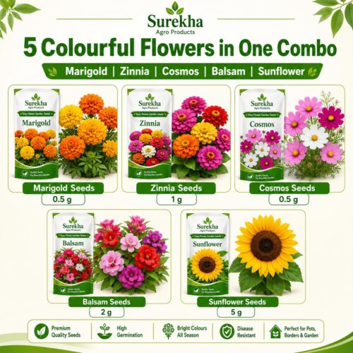 Surekha Agro 5 Easy Flower Garden Seeds Combo - Image 2