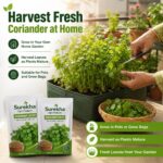 Surekha Agro Coriander Seeds – 1500 Seeds × 2 Packets - Image 6