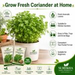 Surekha Agro Coriander Seeds – 1500 Seeds × 2 Packets - Image 3