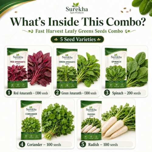 Surekha Agro Fast Harvest 5 Leafy Green Vegetable Seeds Combo - Image 5