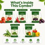 Surekha Agro Indian Kitchen Garden 5 Vegetable Seeds Combo - Image 2