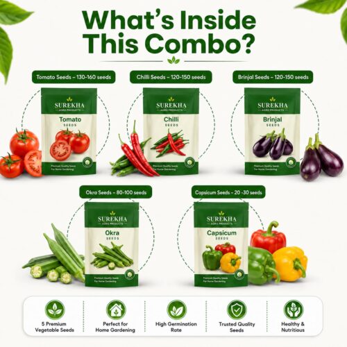 Surekha Agro Indian Kitchen Garden 5 Vegetable Seeds Combo - Image 2