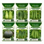 Surekha Agro Gourd and Climber Vegetable Seeds Combo – 6 Varieties - Image 1
