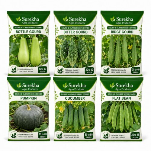 Surekha Agro Gourd and Climber Vegetable Seeds Combo – 6 Varieties - Image 1 Surekha Agro Gourd and Climber Vegetable Seeds Combo – 6 Varieties - Image 1