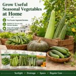 Surekha Agro Monsoon Vegetable Garden Seeds Combo - Image 7