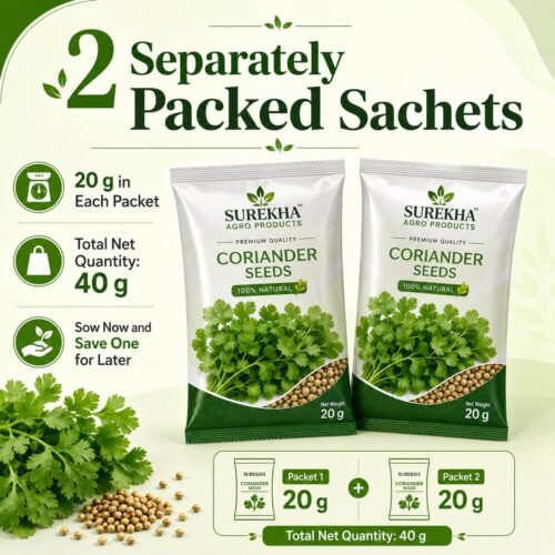 Surekha Agro Coriander Seeds – 1500 Seeds × 2 Packets - Image 2