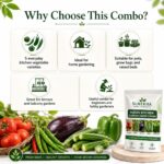 Surekha Agro Indian Kitchen Garden 5 Vegetable Seeds Combo - Image 3