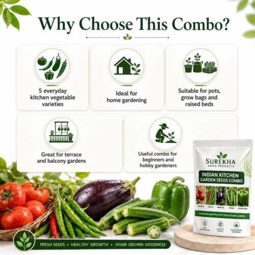 Surekha Agro Indian Kitchen Garden 5 Vegetable Seeds Combo - Image 3