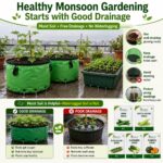 Surekha Agro Monsoon Vegetable Garden Seeds Combo - Image 6