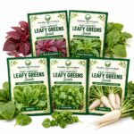 Surekha Agro Fast Harvest 5 Leafy Green Vegetable Seeds Combo - Image 1