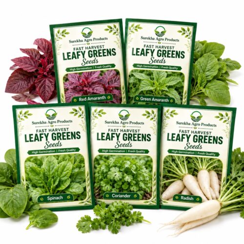 Surekha Agro Fast Harvest 5 Leafy Green Vegetable Seeds Combo - Image 1 Surekha Agro Fast Harvest 5 Leafy Green Vegetable Seeds Combo - Image 1
