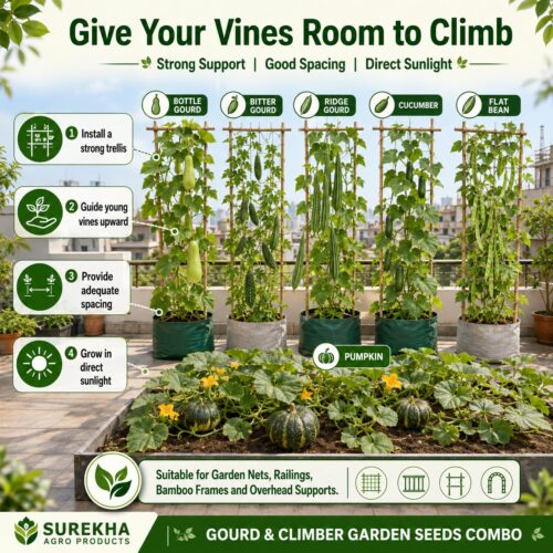 Surekha Agro Gourd and Climber Vegetable Seeds Combo – 6 Varieties - Image 3