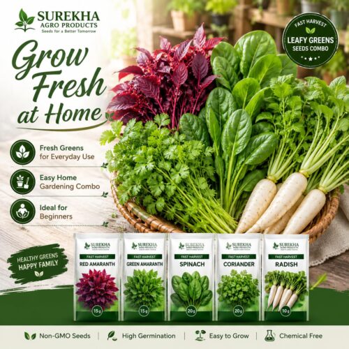 Surekha Agro Fast Harvest 5 Leafy Green Vegetable Seeds Combo - Image 3