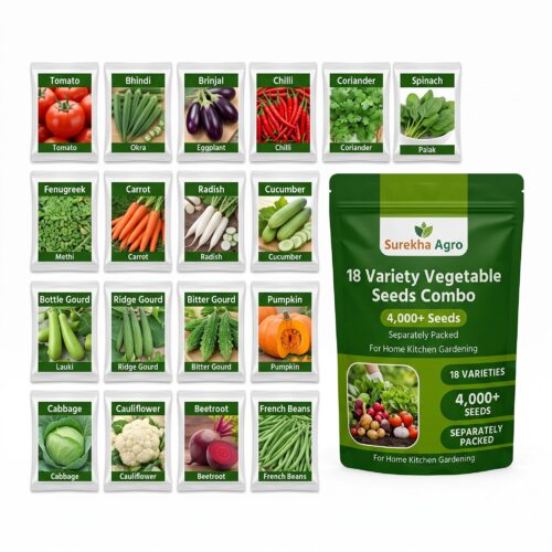 Surekha Agro 18 Variety Vegetable Seeds Combo – 5000+ Seeds - Image 1 Surekha Agro 18 Variety Vegetable Seeds Combo – 5000+ Seeds - Image 1