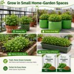 Surekha Agro Coriander Seeds – 1500 Seeds × 2 Packets - Image 4