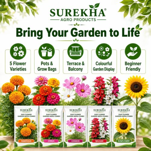 Surekha Agro 5 Easy Flower Garden Seeds Combo - Image 3